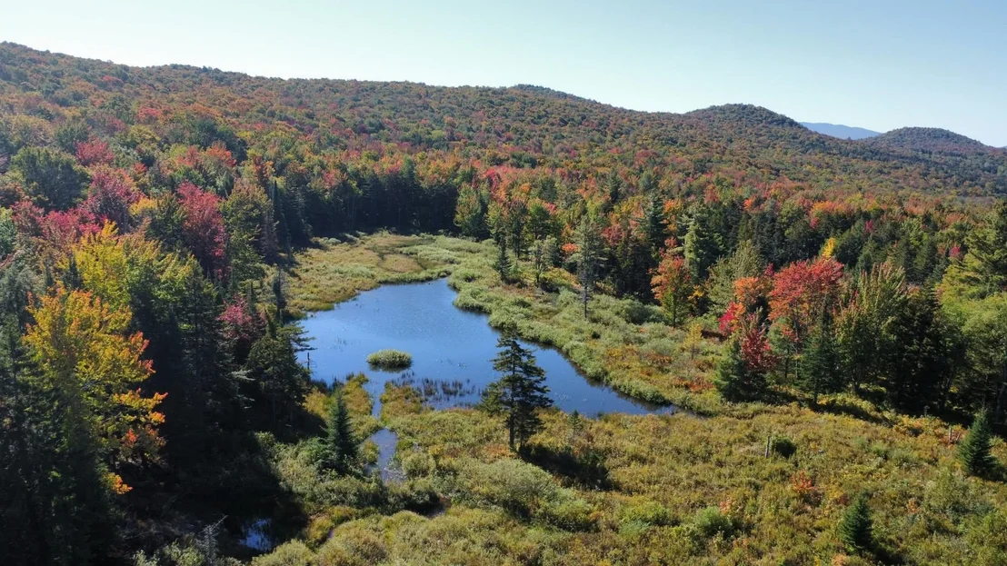 Photo of 689 Black Falls