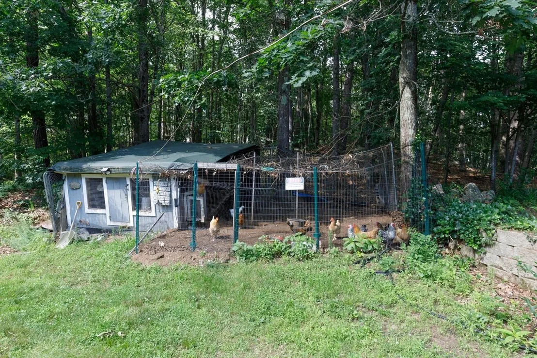 Photo of 76 Hampstead