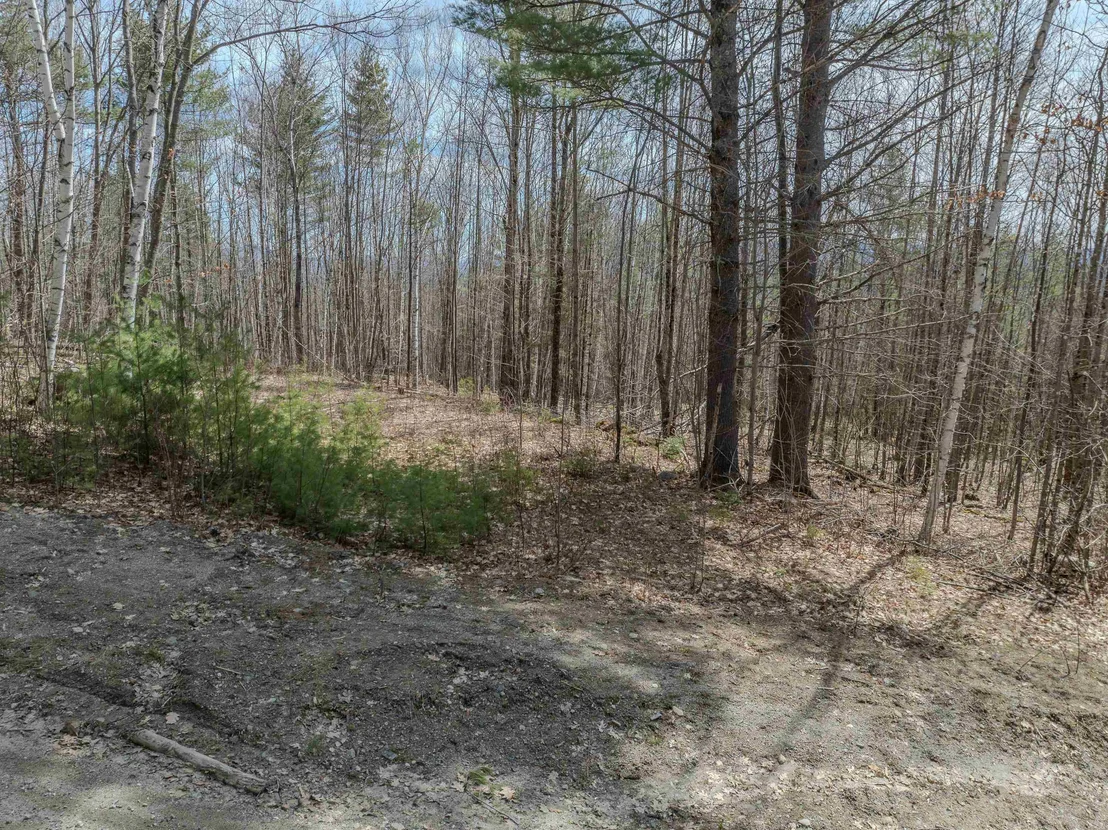 Photo of Lot 2 Mountain