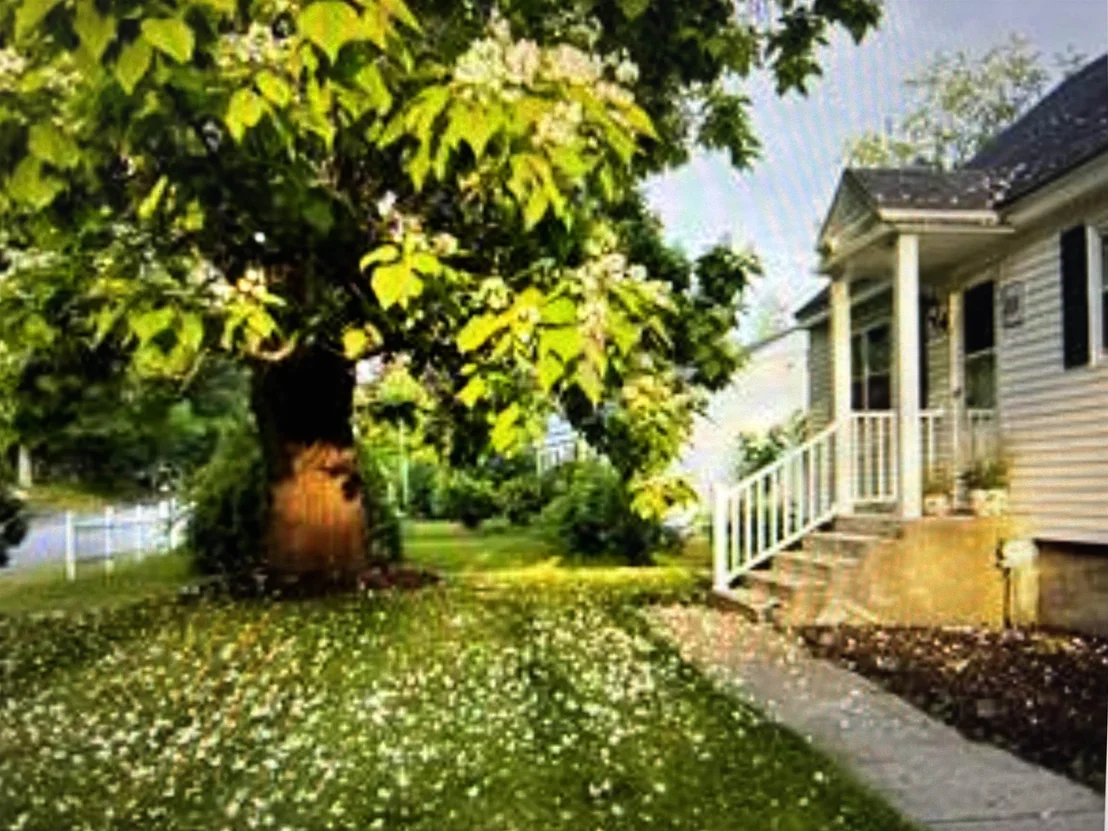 Photo of 23 Jericho