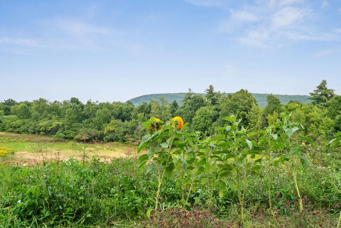 Photo of 2944 Shellhouse Mountain