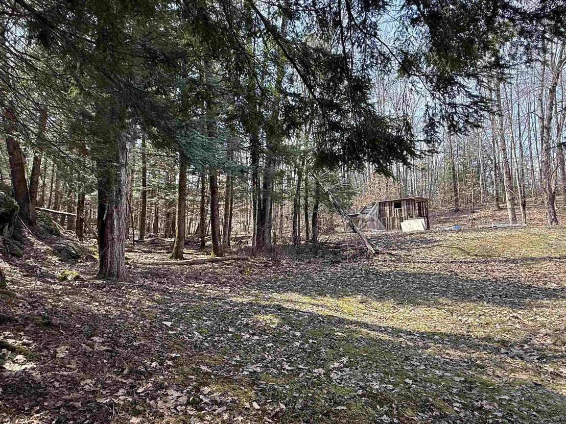 Photo of 74 Dutton District
