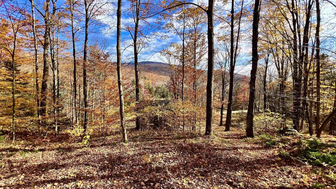 Photo of 2075 Codding Hollow