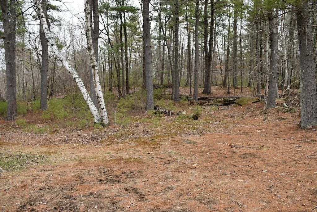 Photo of 133 Mount Delight