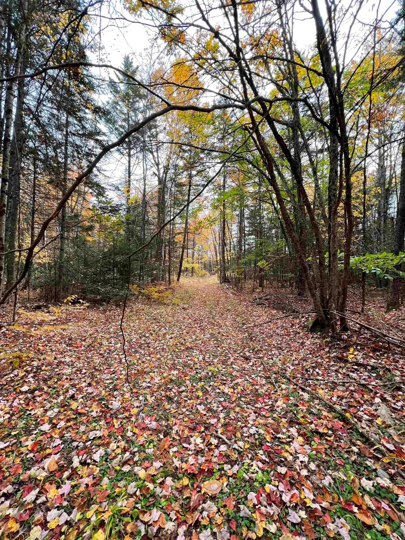 Photo of 408-105 Evergreen