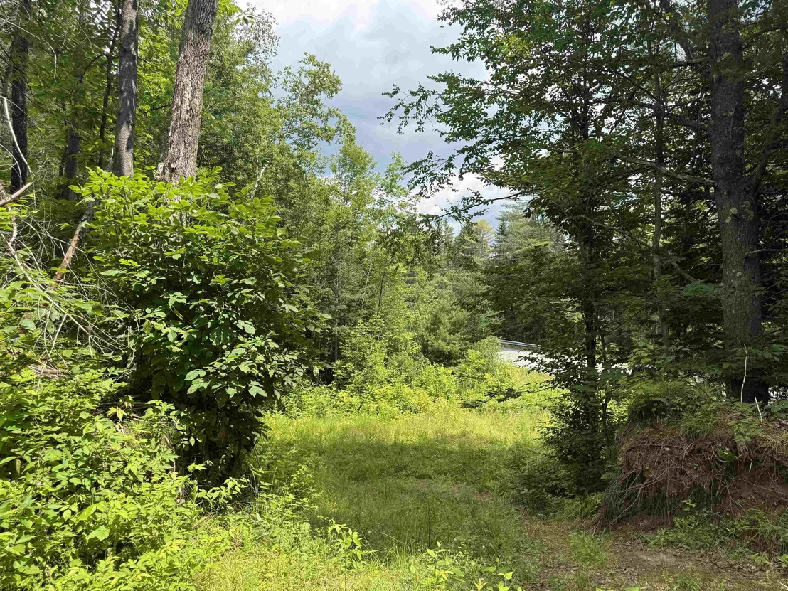 Photo of Lot 5 VT Route 102