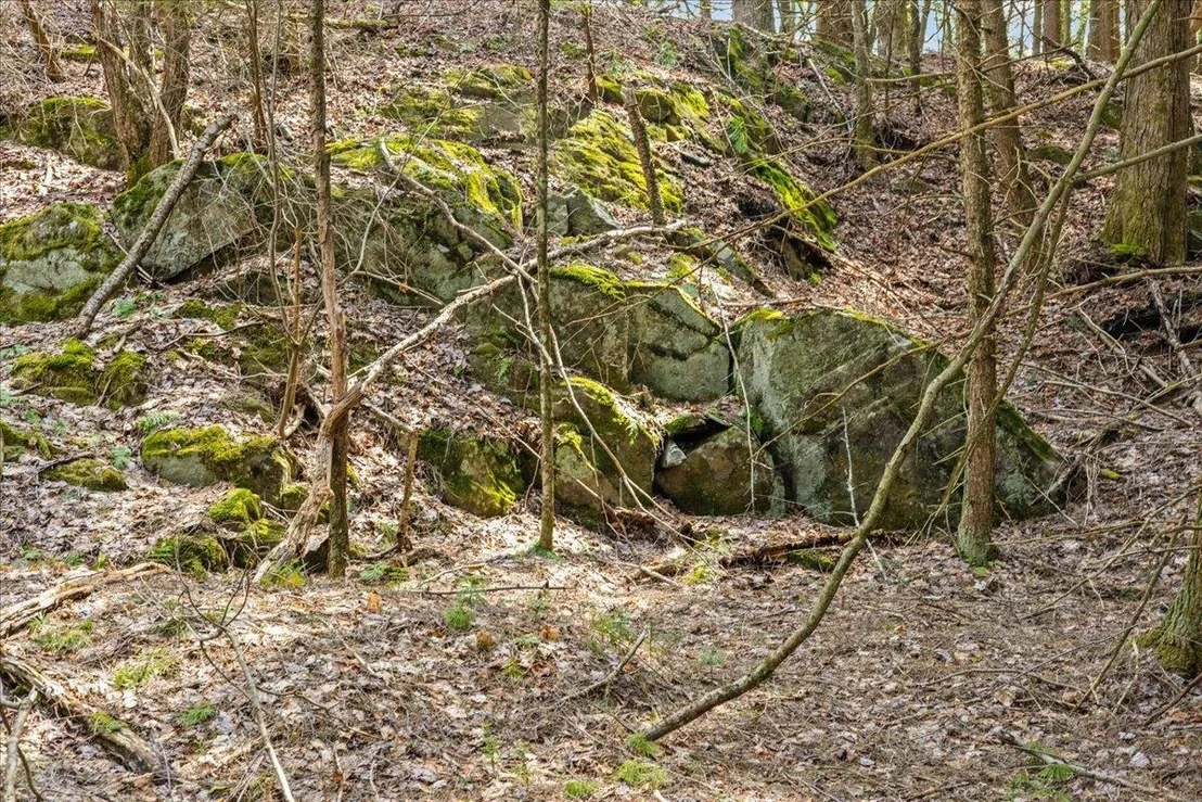 Photo of Lots 2 & 3 Hemlock