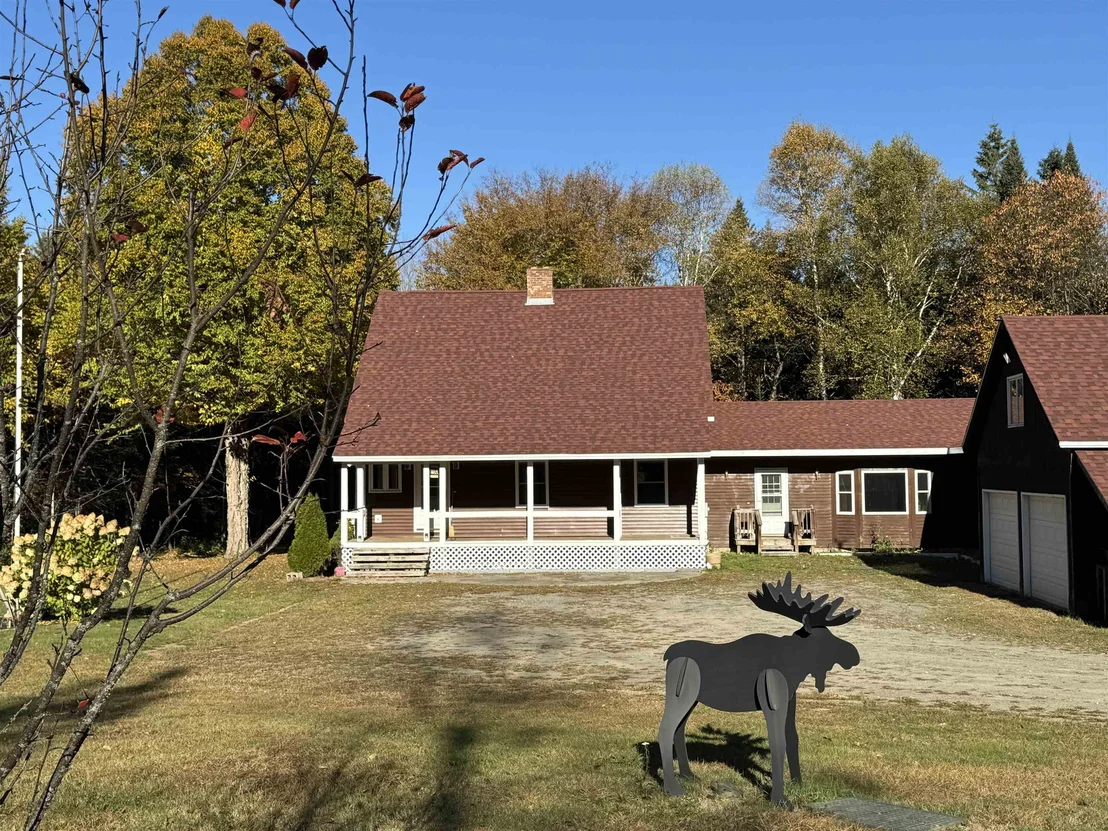 Photo of 20 Moose
