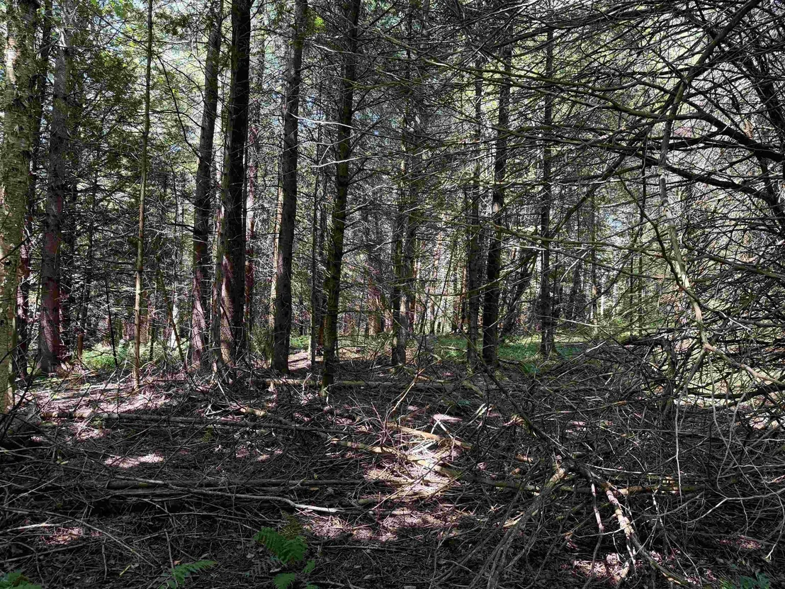 Photo of 3329 Bates Hill
