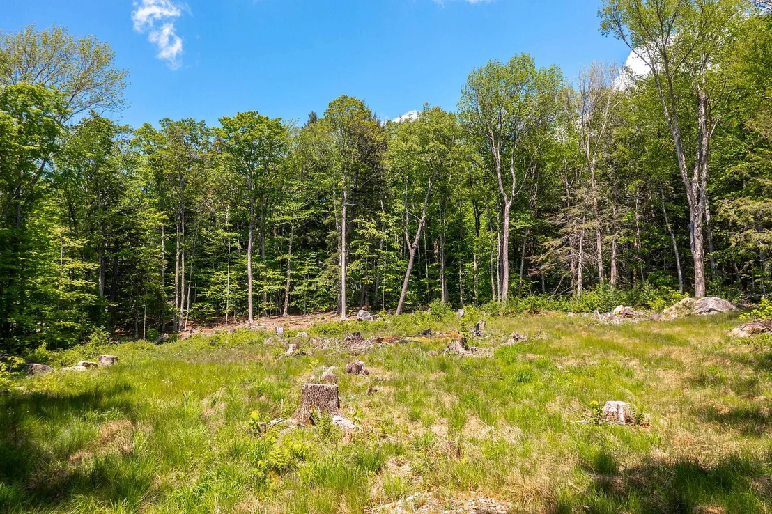 Photo of 585 Sawmill