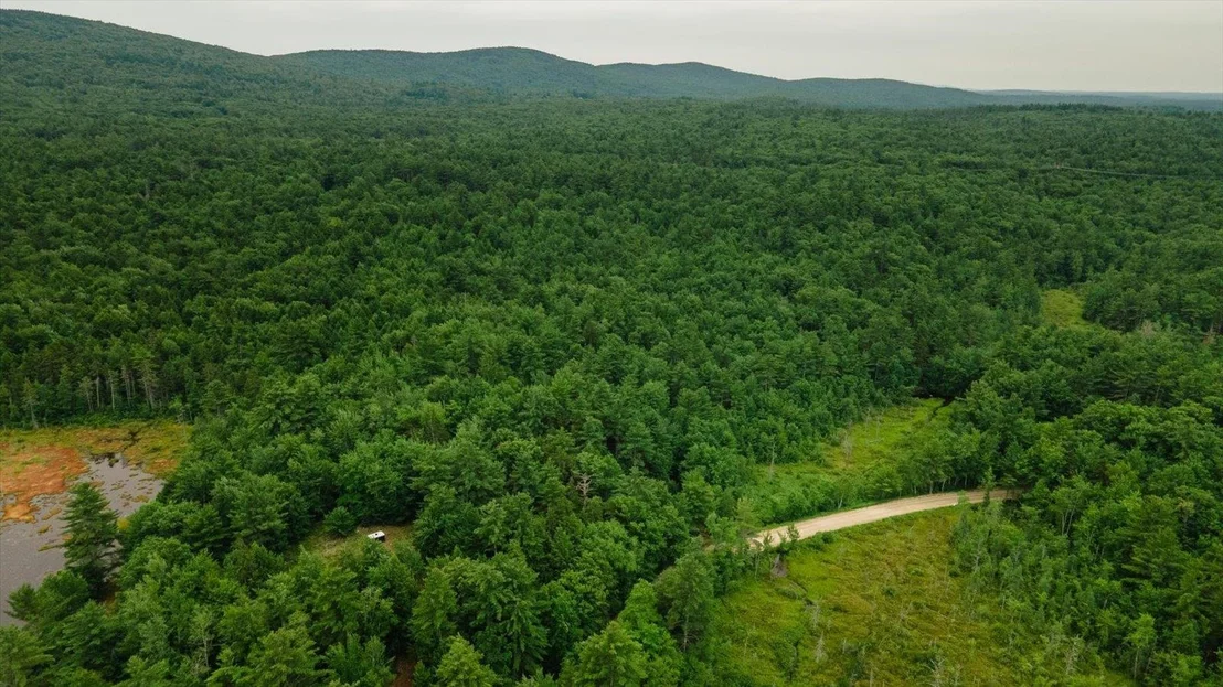 Photo of Lot 0 Pine
