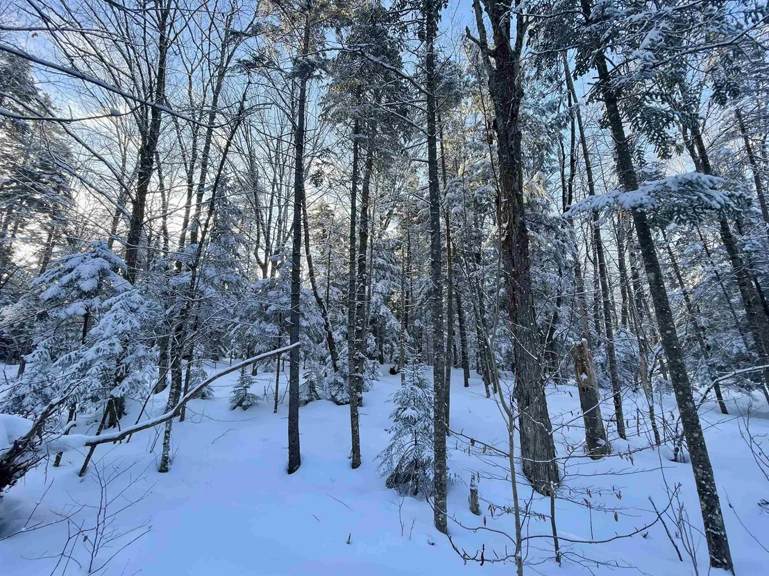 Photo of 00 Mountain
