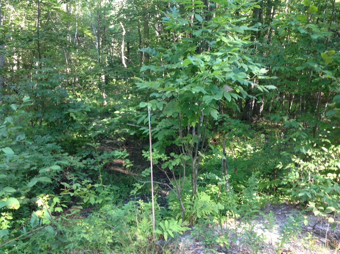 Photo of 29 Stoneview