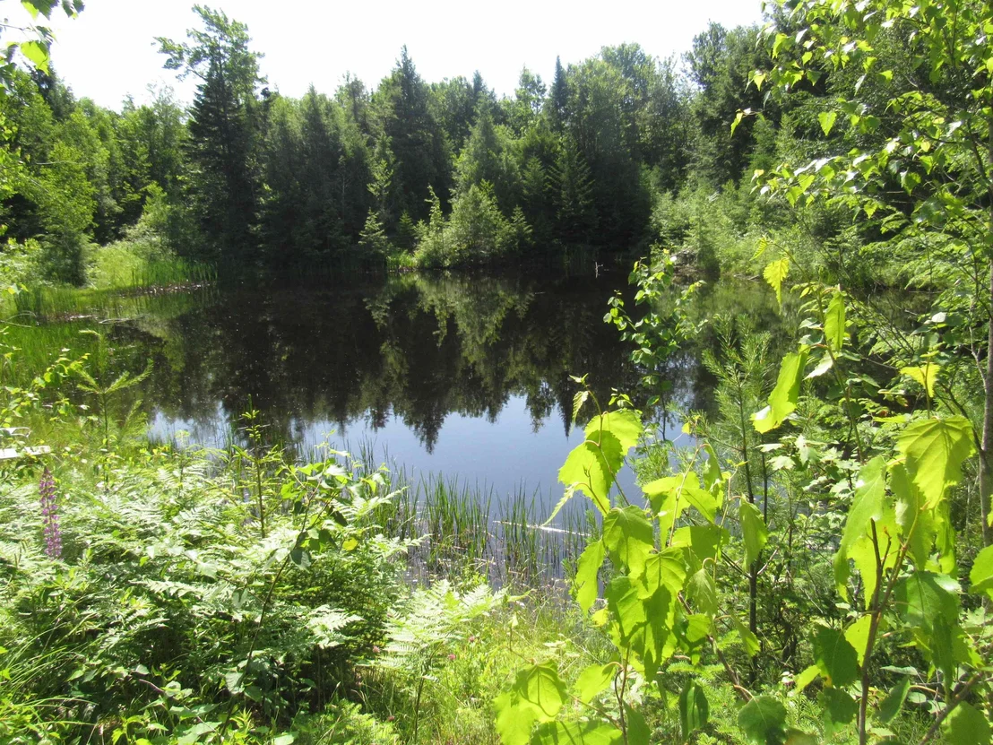 Photo of 1239 Baldwin Brook