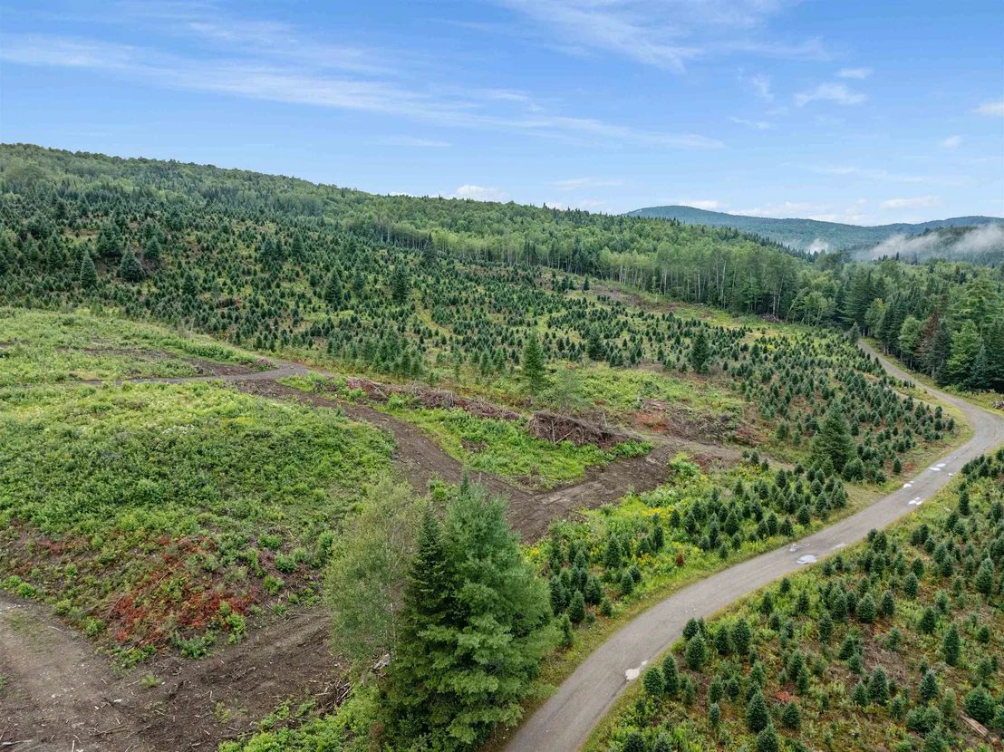 Photo of - Capon Brook