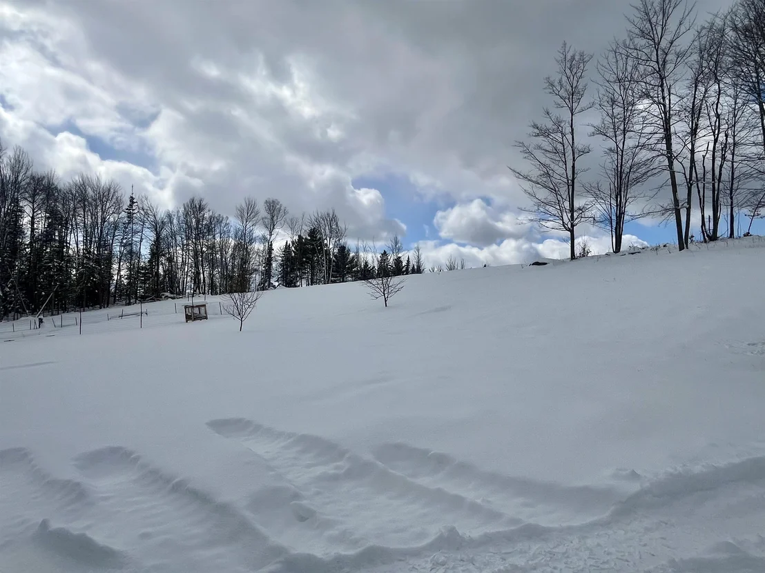 Photo of 181 Hill