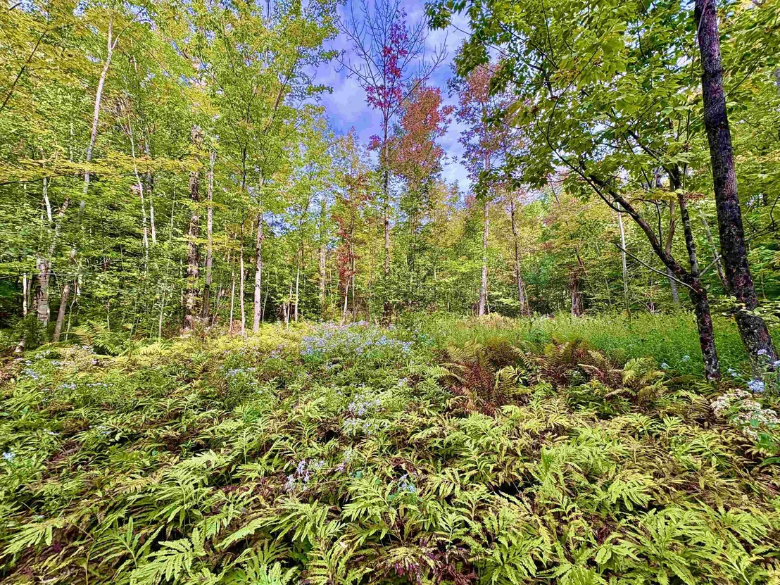 Photo of 0 Partridge Hollow