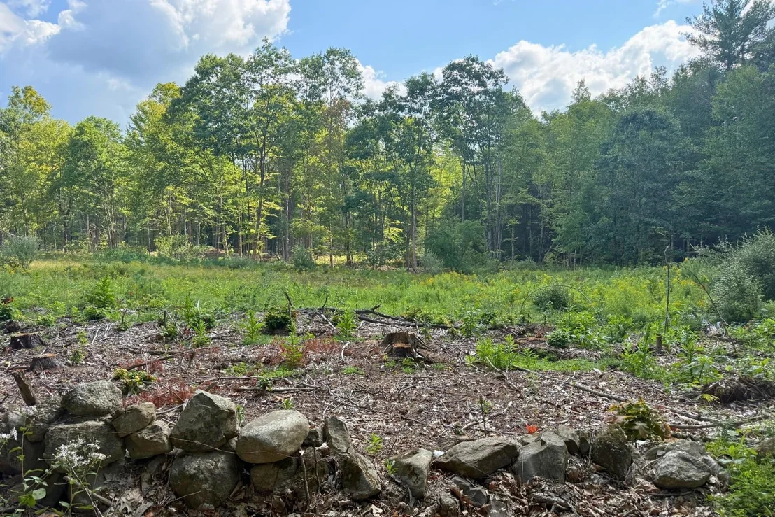 Photo of Lot 9-3 Roxbury