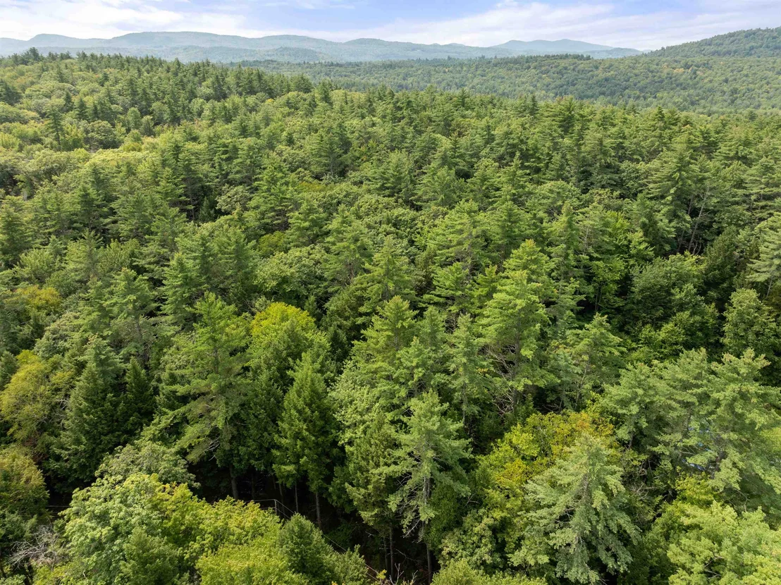 Photo of 32 Forest Pond