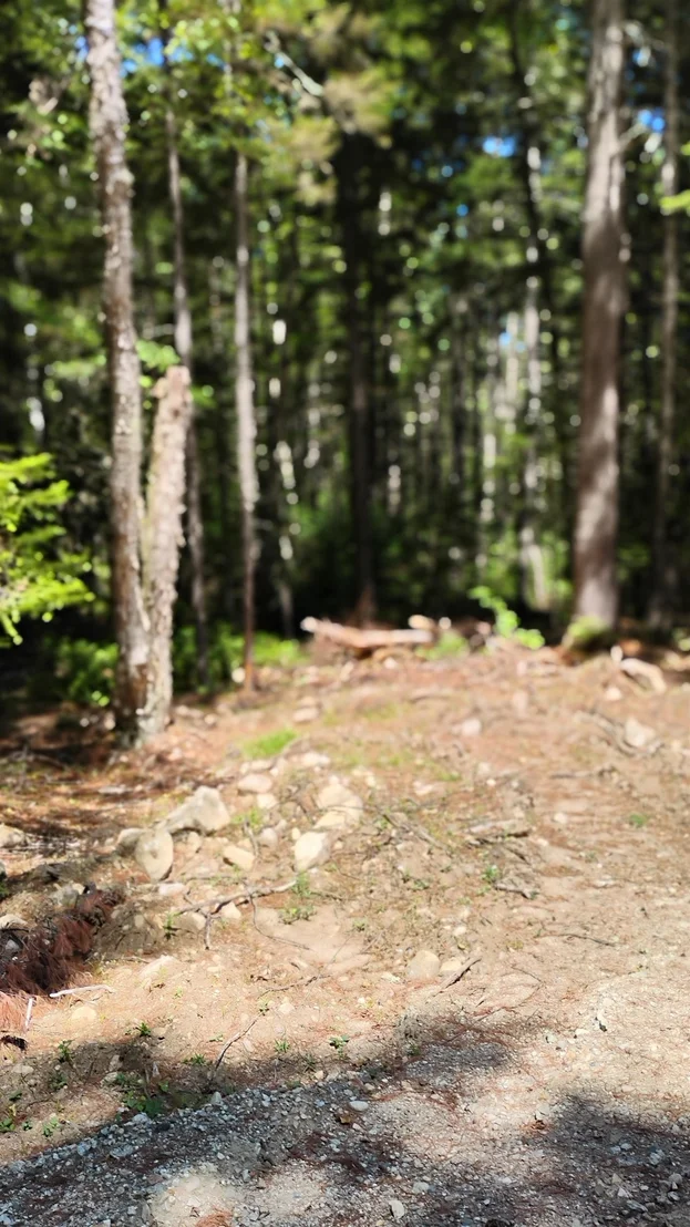 Photo of Lot 2 NH Route 4A