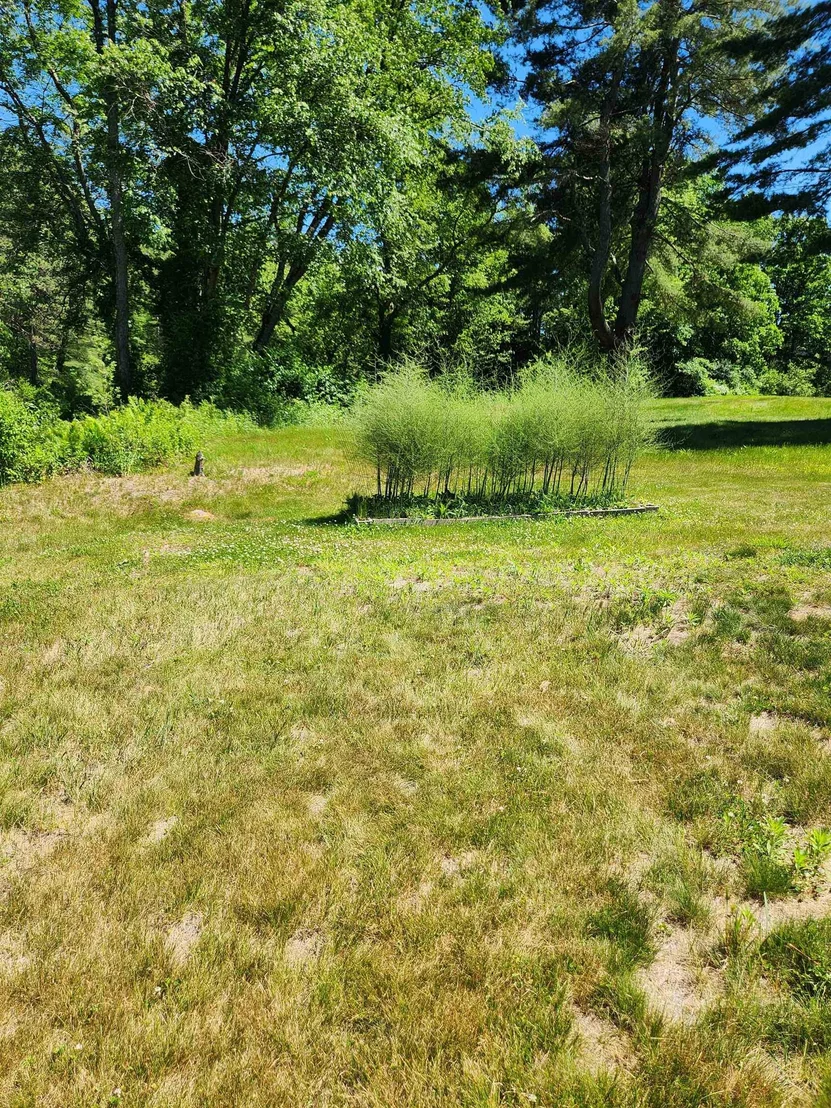 Photo of 253 Back Ashuelot