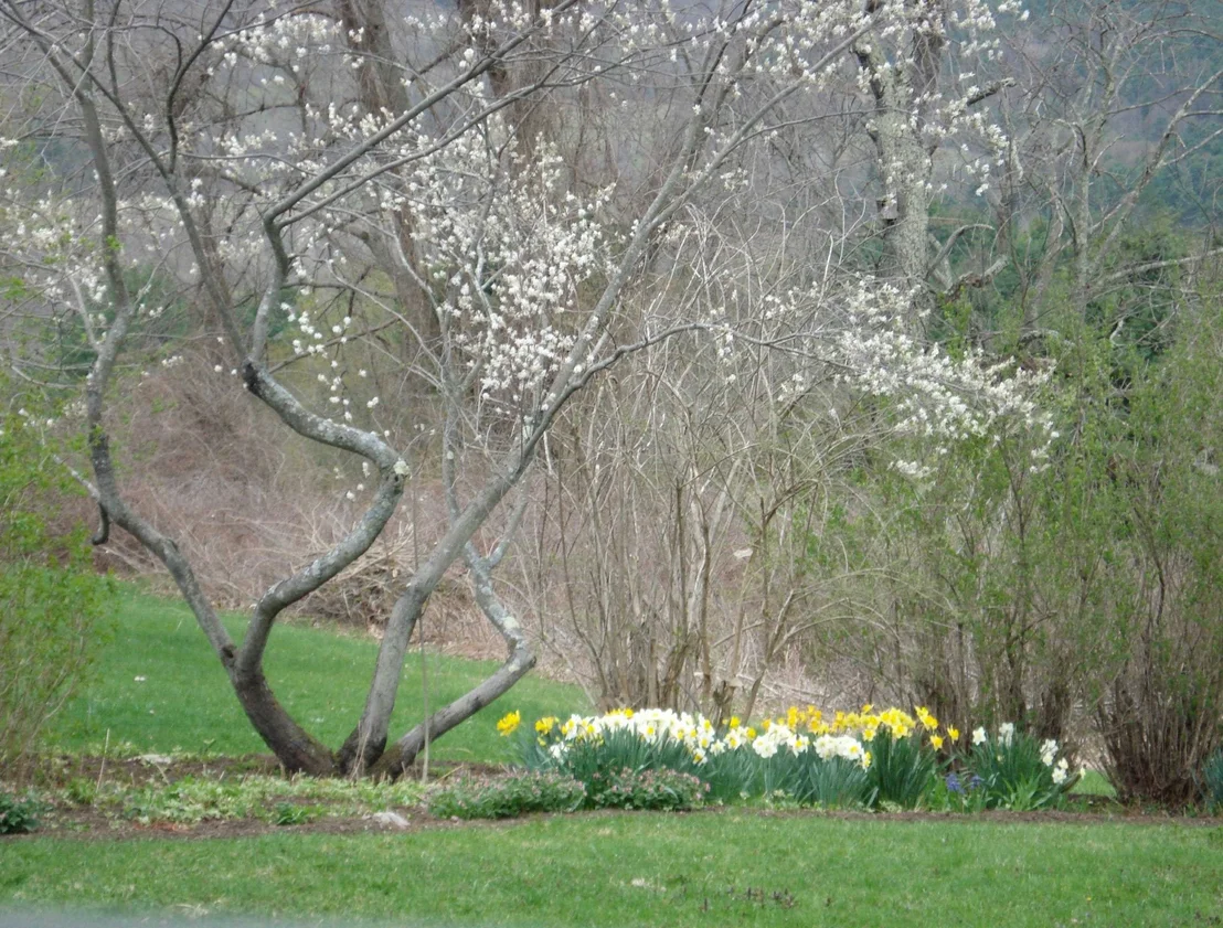 Photo of 289 Lamb Hill