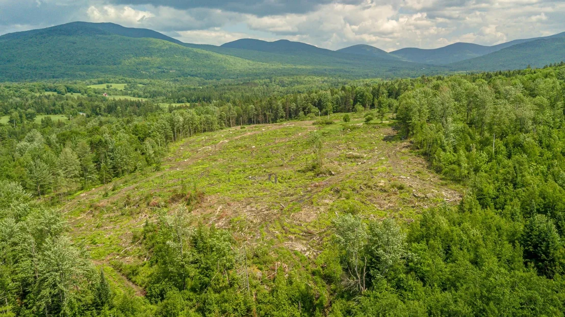 Photo of 53 Pleasant Valley
