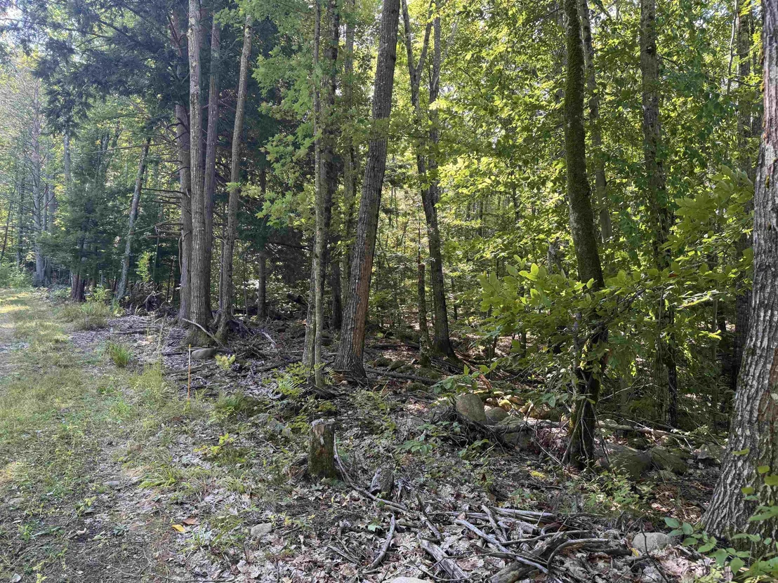 Photo of 26 Circuit