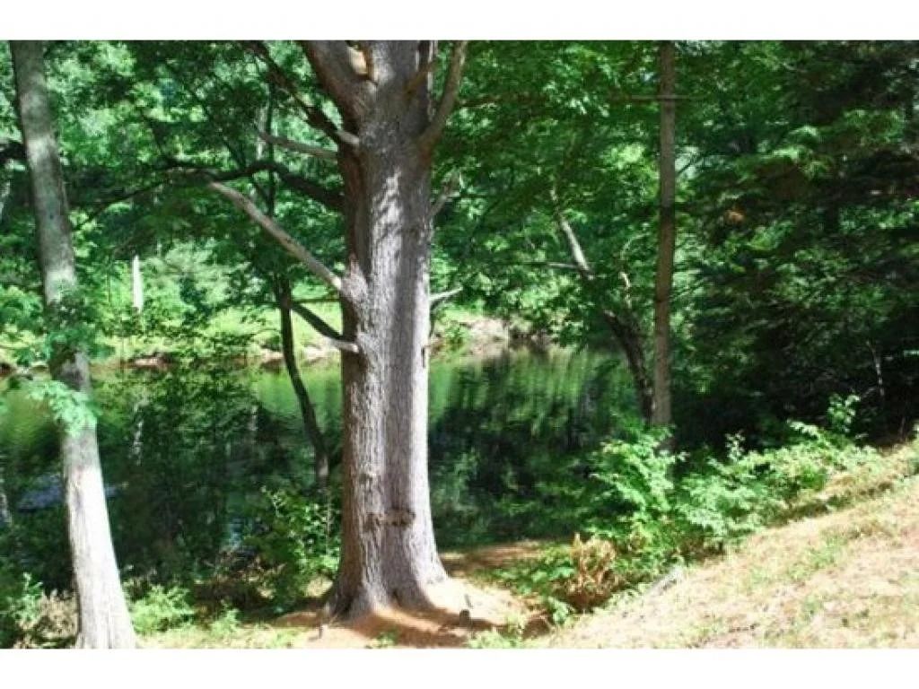 Photo of 67 Danis Park