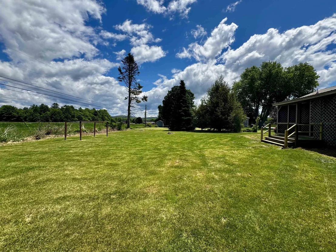 Photo of 152 Blue Spruce