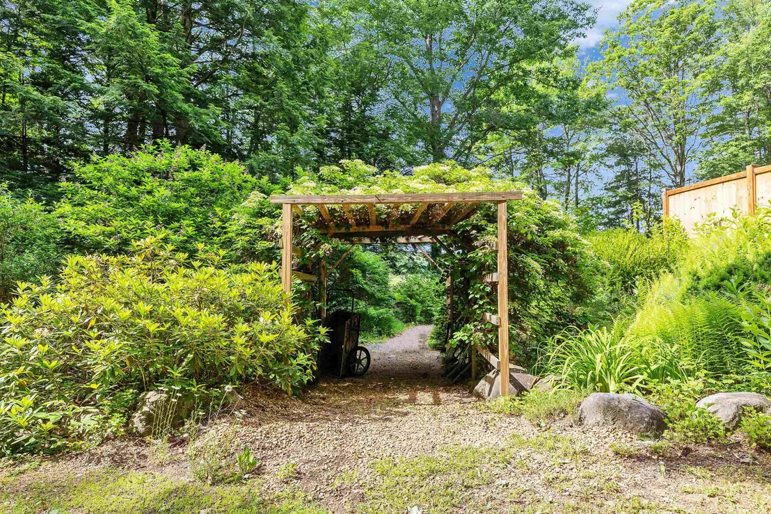 Photo of 261 Forest