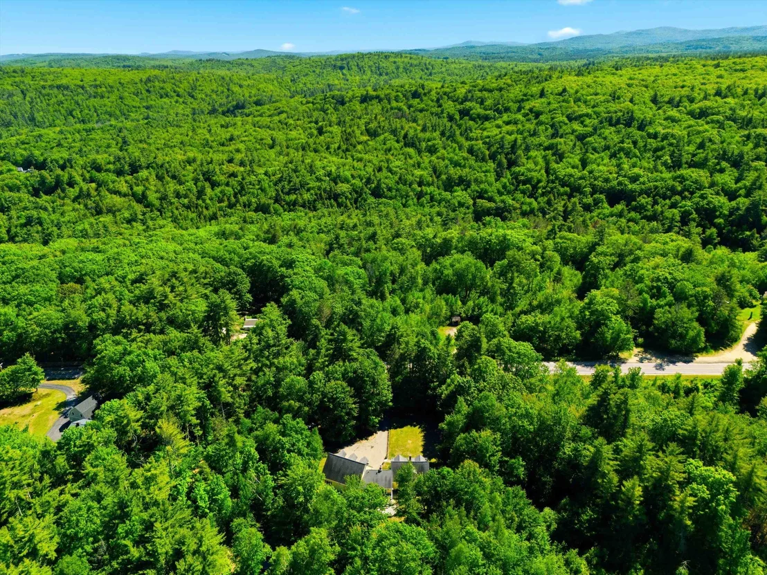 Photo of 302 Forest