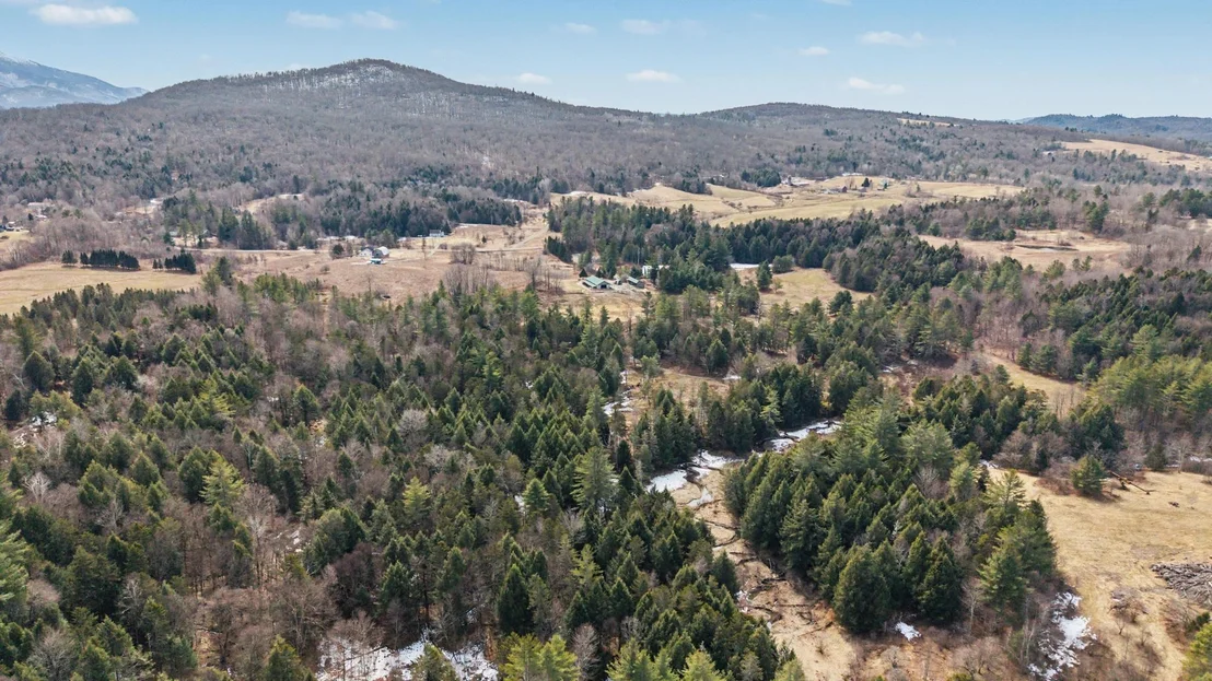 Photo of 984 Pollander