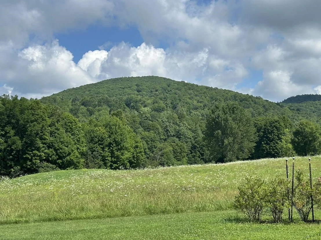 Photo of 150 Piney Woods