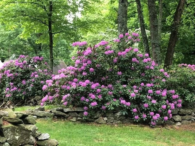 Photo of 153 Castle Hill