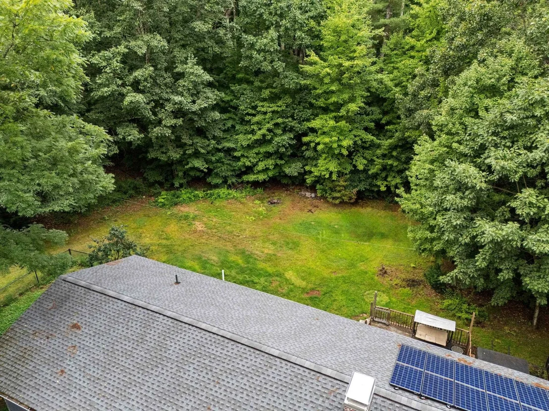 Photo of 6 Juniper