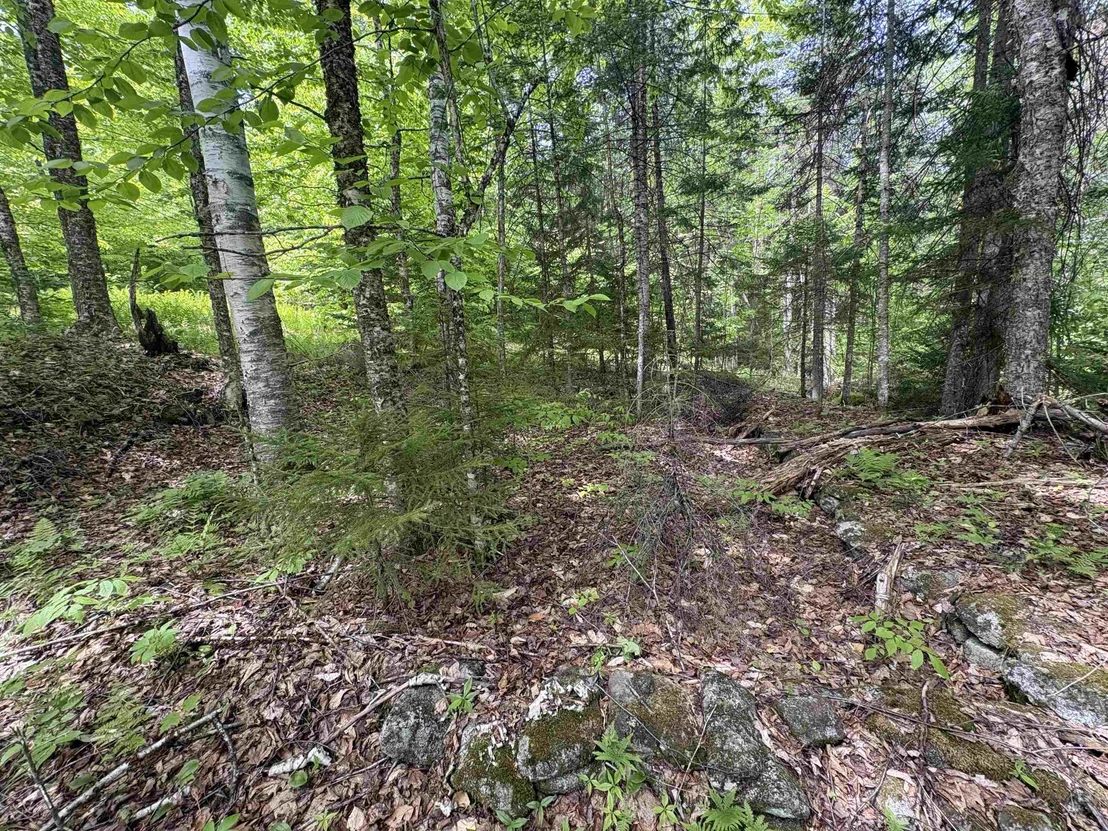 Photo of 0 Old Pond Hill