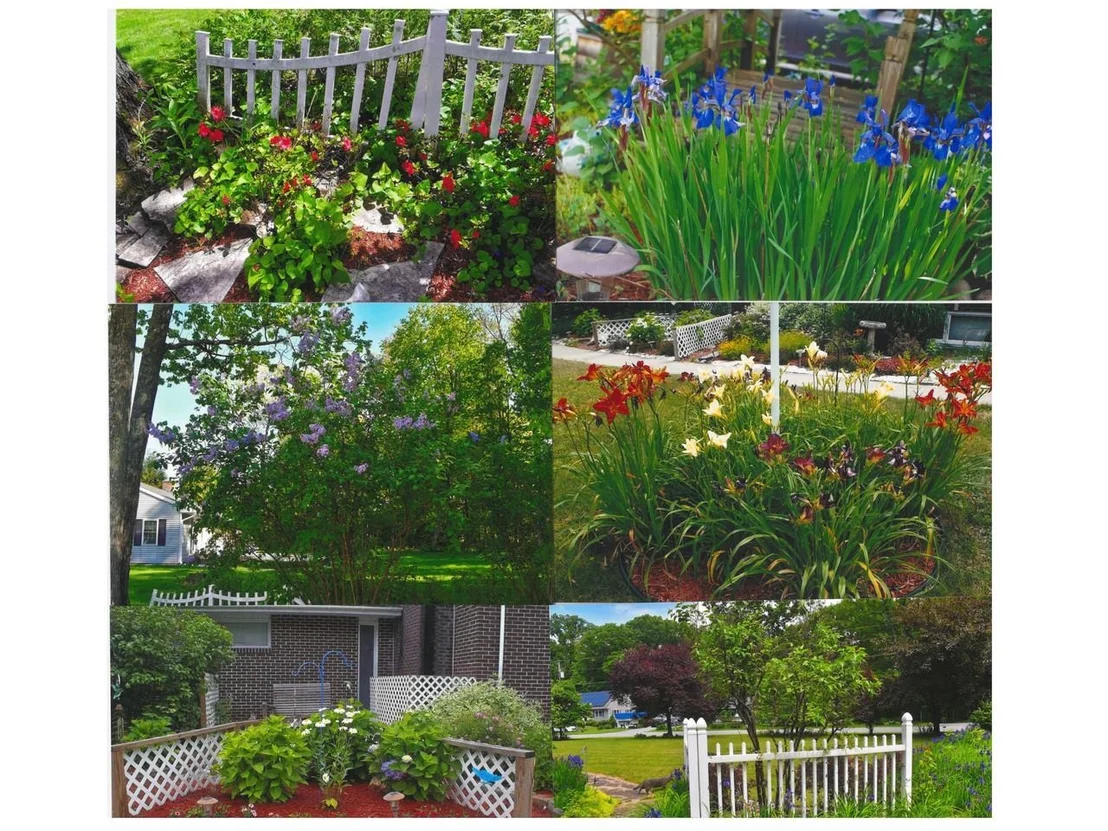 Photo of 7 Forest