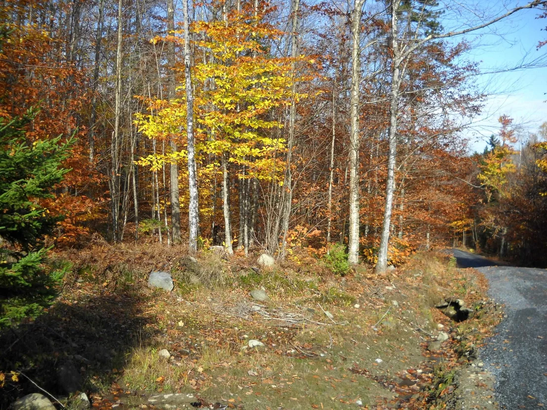Photo of Unit LOTE at 1179 NH Route 25A