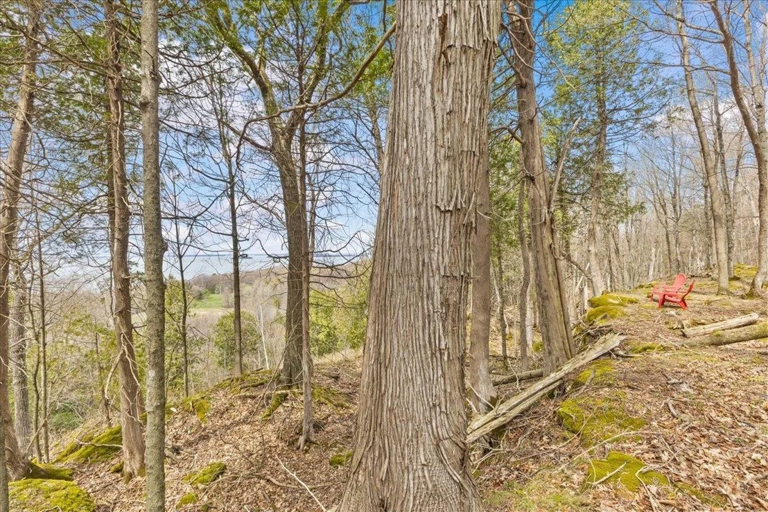 Photo of Unit LOT1 at 0 Bullock