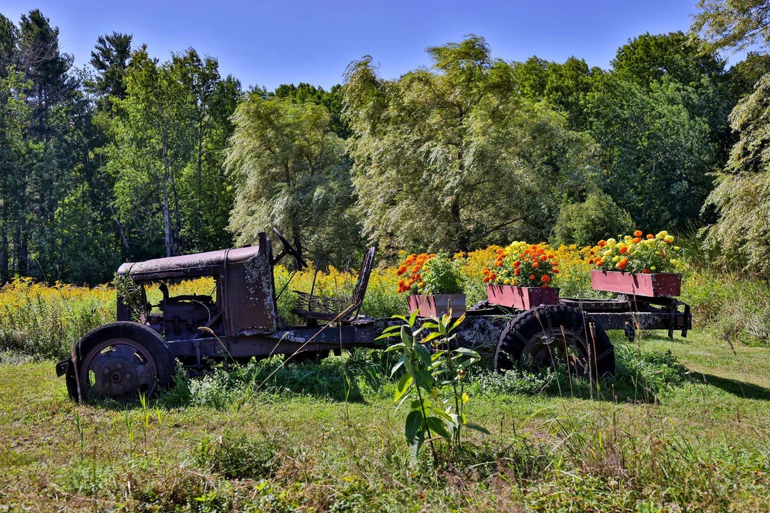 Photo of 93 Godfrey
