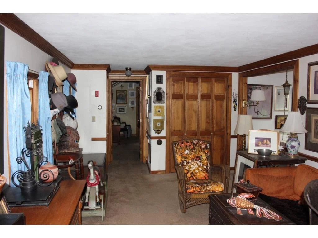 Photo of 3 Juniper