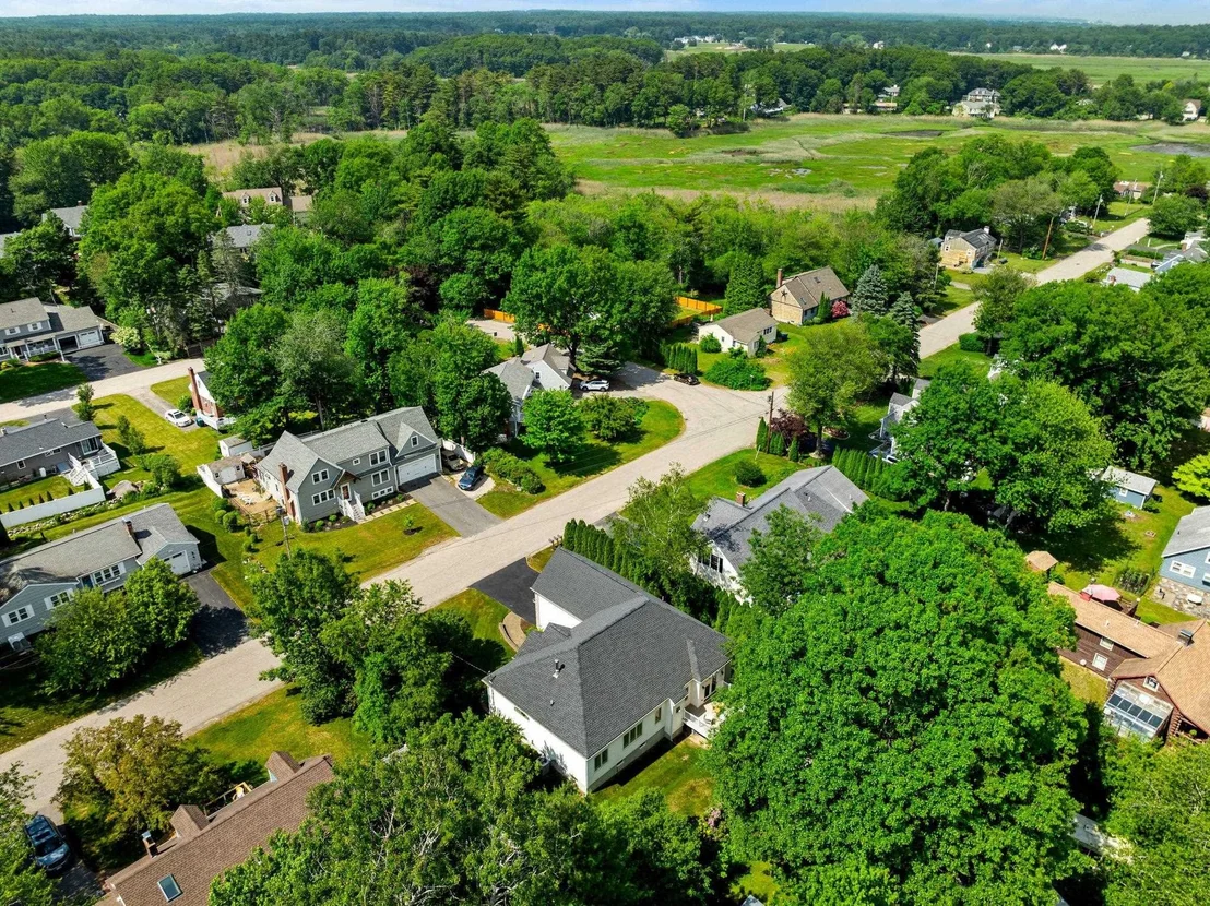 Photo of 20 Huckleberry