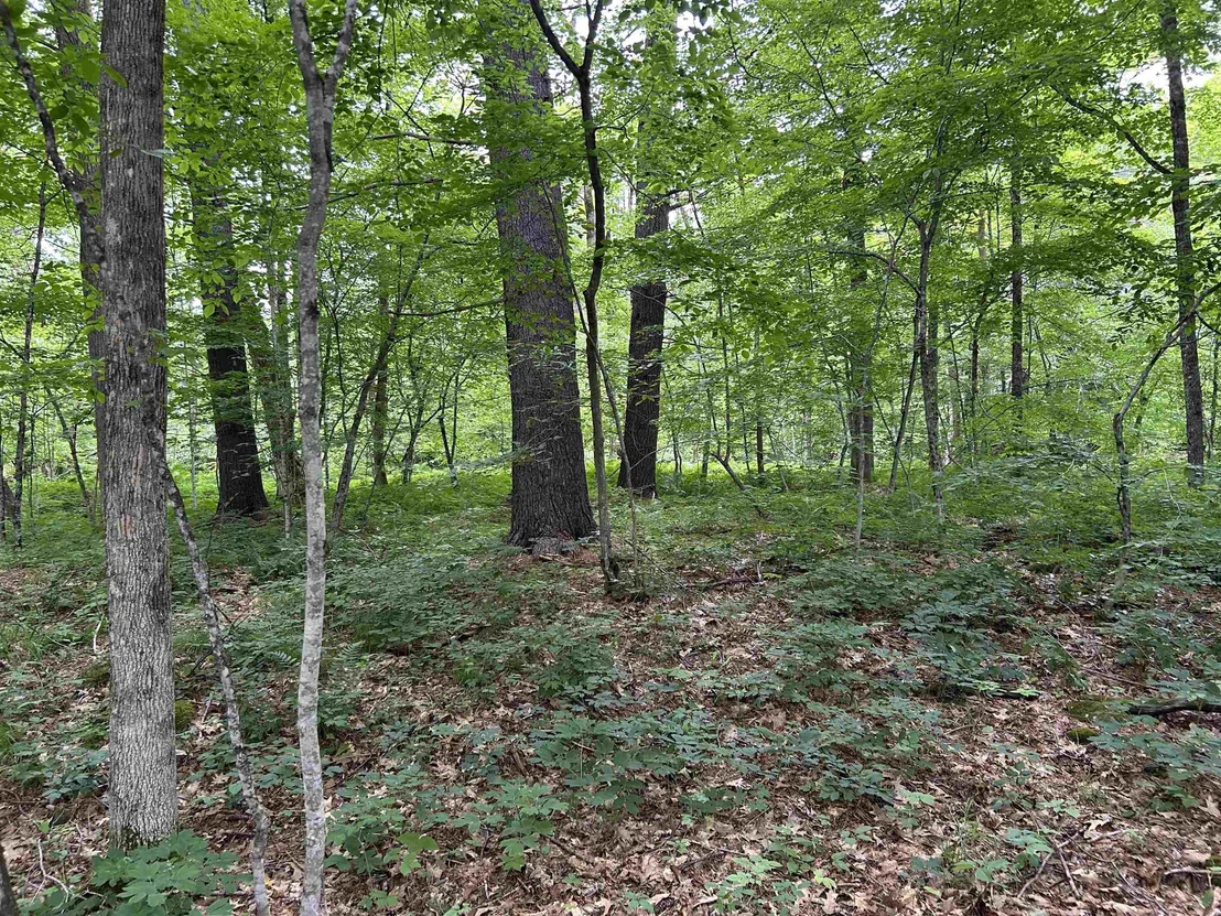 Photo of 4 Cutler