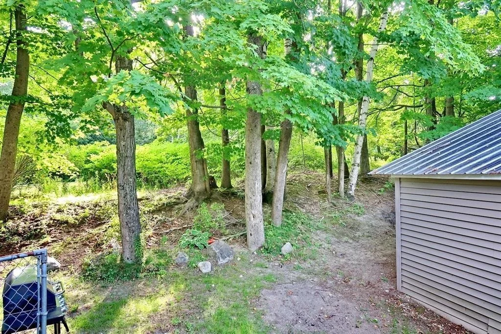 Photo of 46 Elm