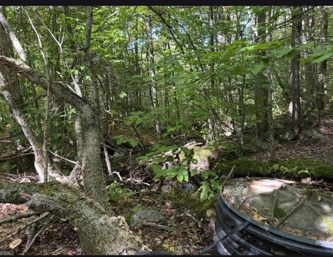 Photo of 689 Black Falls