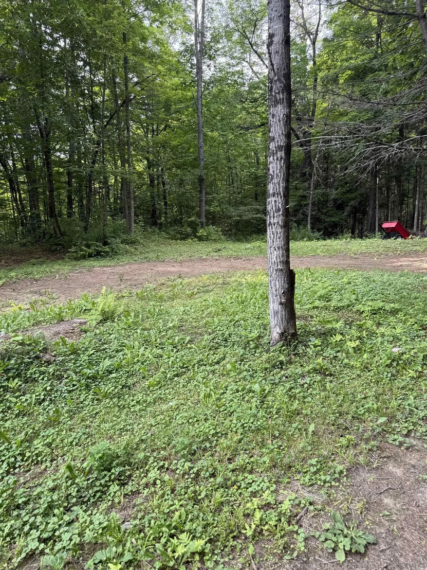 Photo of 7 Pine