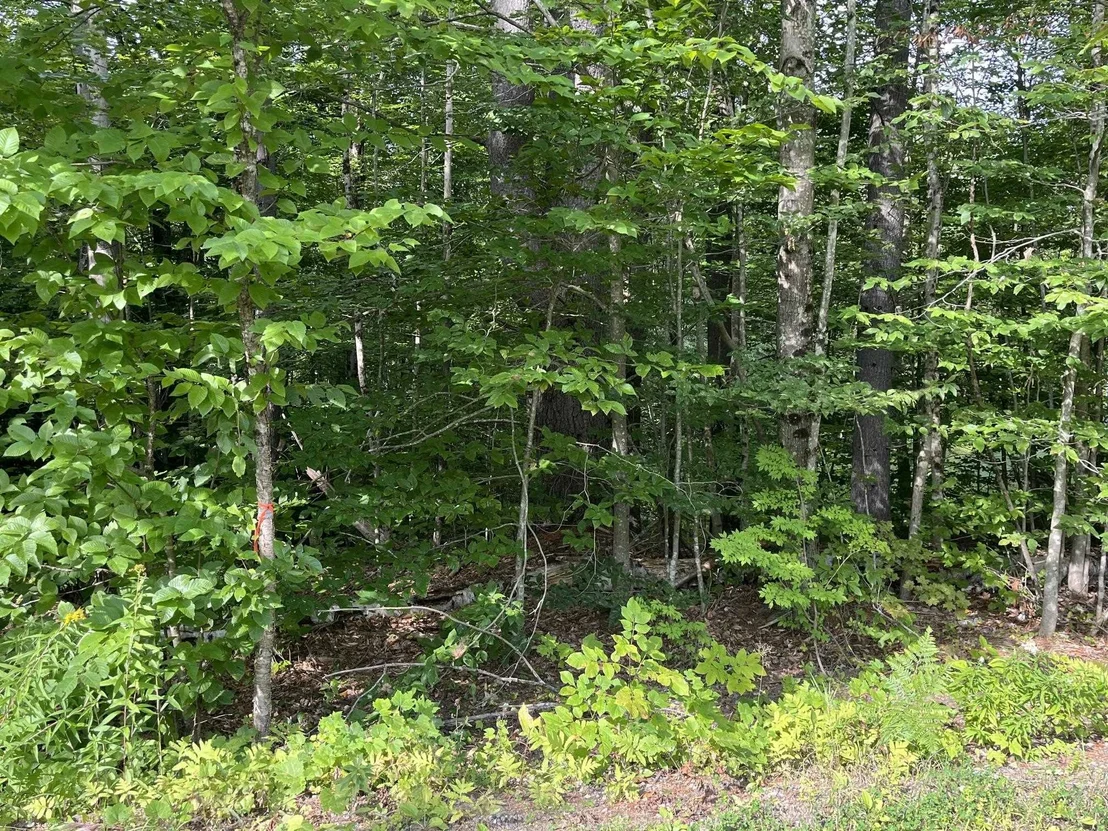 Photo of 00 Pratt Bridge
