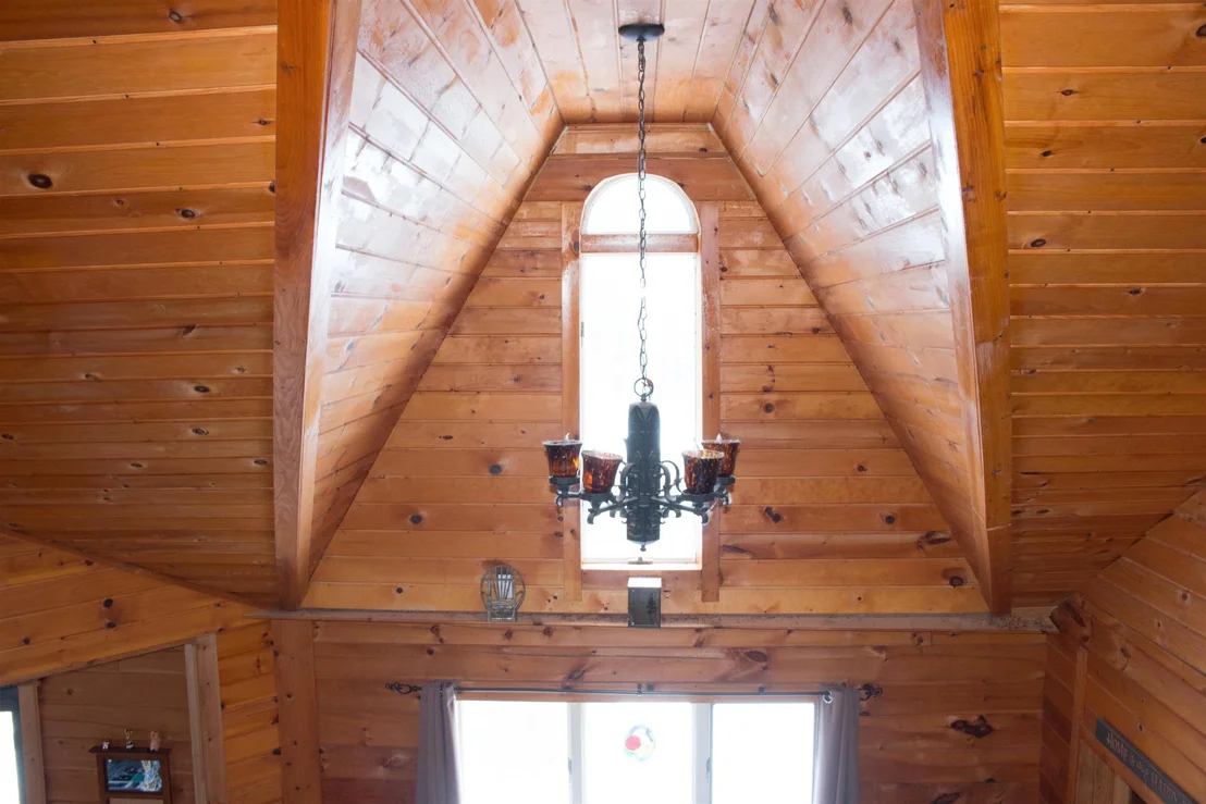 Photo of 5 Wildflower