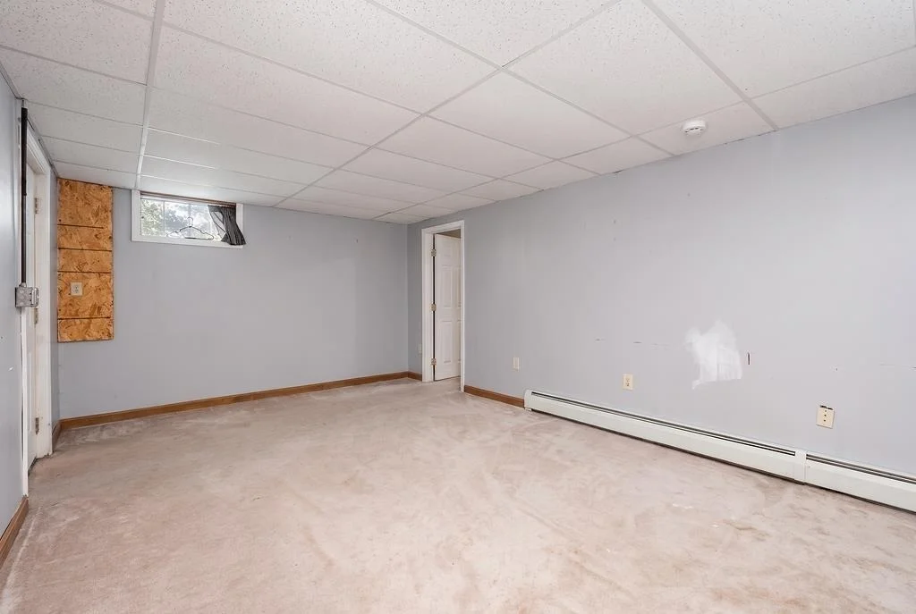 Photo of 5 Alder